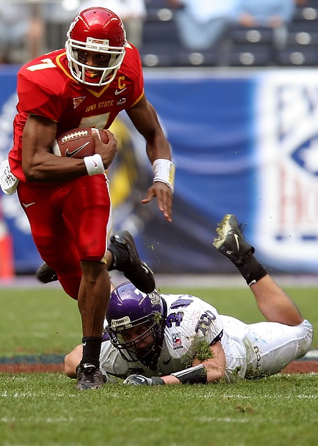 还能欣赏到 还能欣赏到
